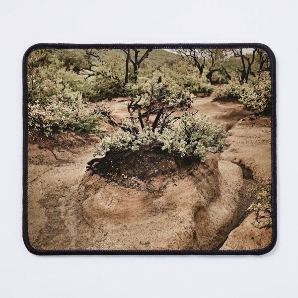 Item preview, Tenacious vegetation in the heart of volcanic ash designed and sold by franck380.