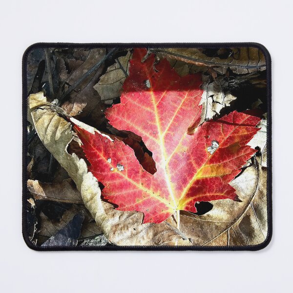 Item preview, Bright Red Leaf designed and sold by WilfuerM.