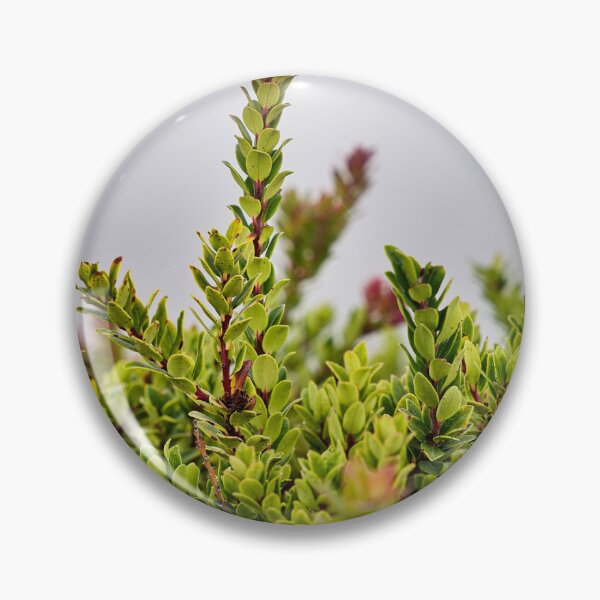 Item preview, Contrasting alpine vegetation on the heights of the Ijen designed and sold by franck380.