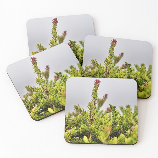Item preview, Contrasting alpine vegetation on the heights of the Ijen designed and sold by franck380.