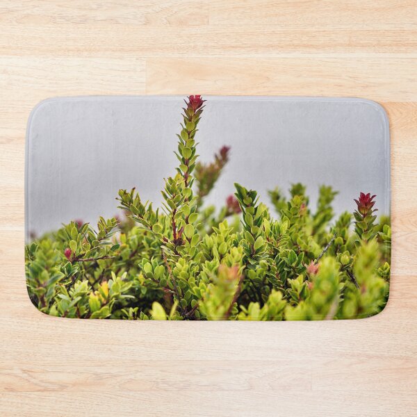 Item preview, Contrasting alpine vegetation on the heights of the Ijen designed and sold by franck380.