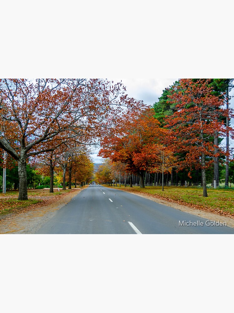 "Honour Avenue Mount Macedon" Sticker for Sale by houseofgolden