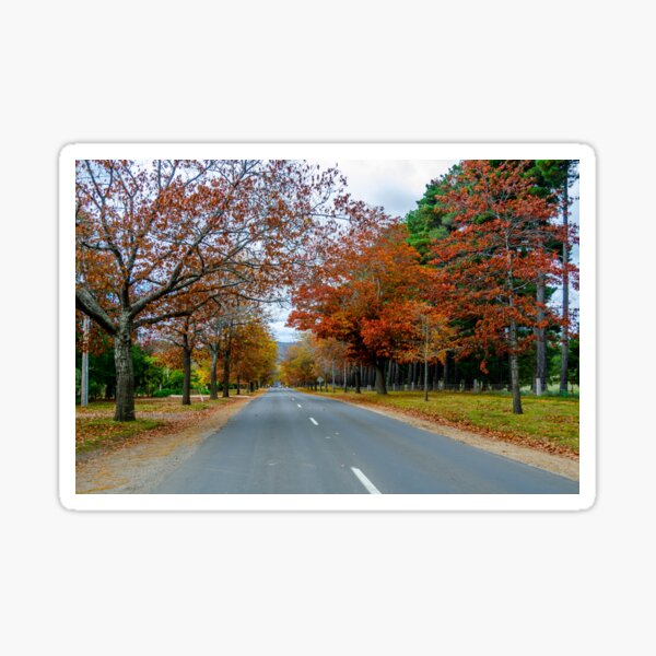Item preview, Honour Avenue - Mount Macedon designed and sold by House of Golden.