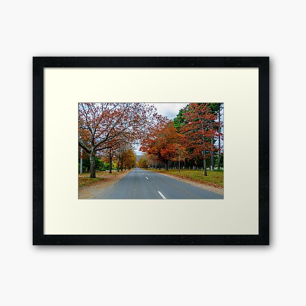 Item preview, Honour Avenue - Mount Macedon designed and sold by House of Golden.