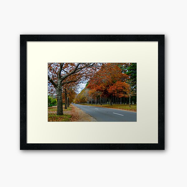 Item preview, Honour Avenue - Mount Macedon designed and sold by House of Golden.