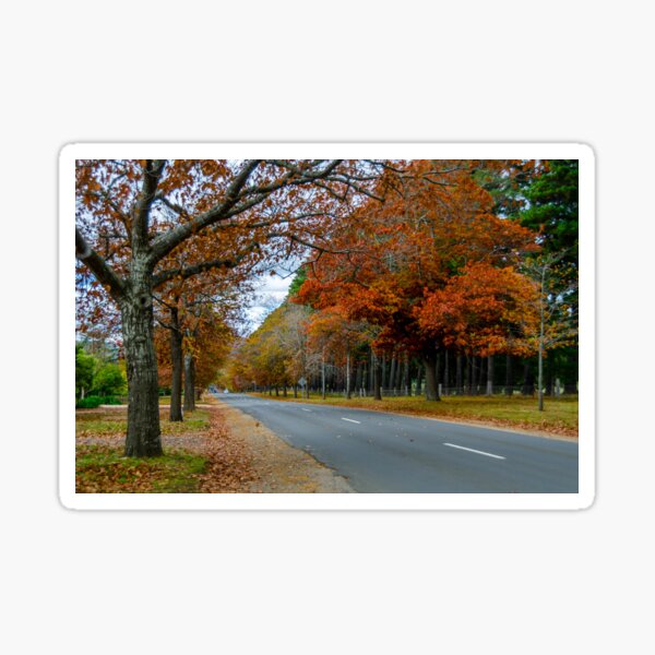 Item preview, Honour Avenue - Mount Macedon designed and sold by House of Golden.