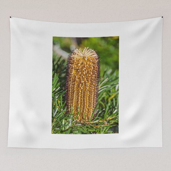 Item preview, Banksia designed and sold by House of Golden.