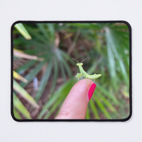 Item preview, Tiny Praying Mantis on Fingertip designed and sold by TrisaThyme.