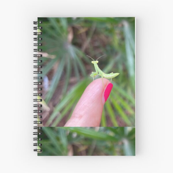 Item preview, Tiny Praying Mantis on Fingertip designed and sold by TrisaThyme.