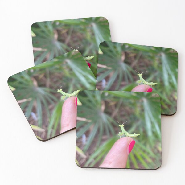 Item preview, Tiny Praying Mantis on Fingertip designed and sold by TrisaThyme.