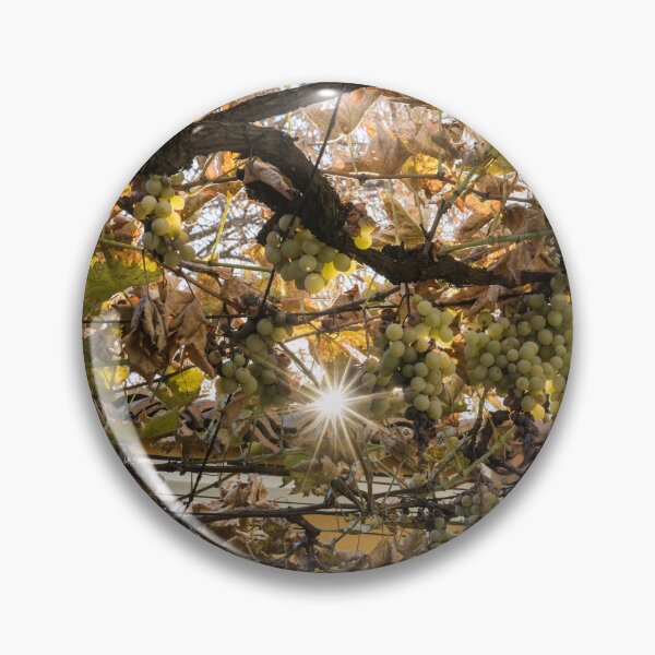 Item preview, Sunburst Through Autumnal Grape Vines designed and sold by Georgia Mizuleva.
