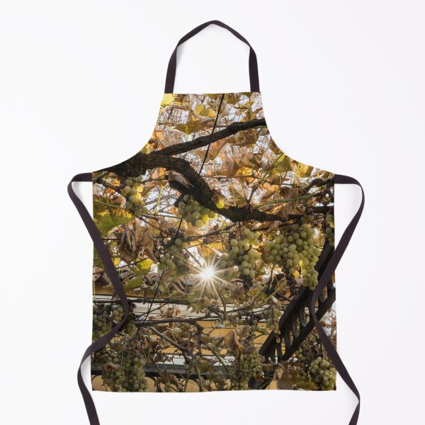 Item preview, Sunburst Through Autumnal Grape Vines designed and sold by Georgia Mizuleva.