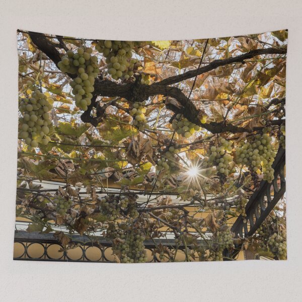 Item preview, Sunburst Through Autumnal Grape Vines designed and sold by Georgia Mizuleva.