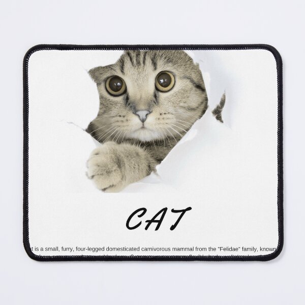 Item preview, Cute kitty☺️ designed and sold by Axvero-Street.