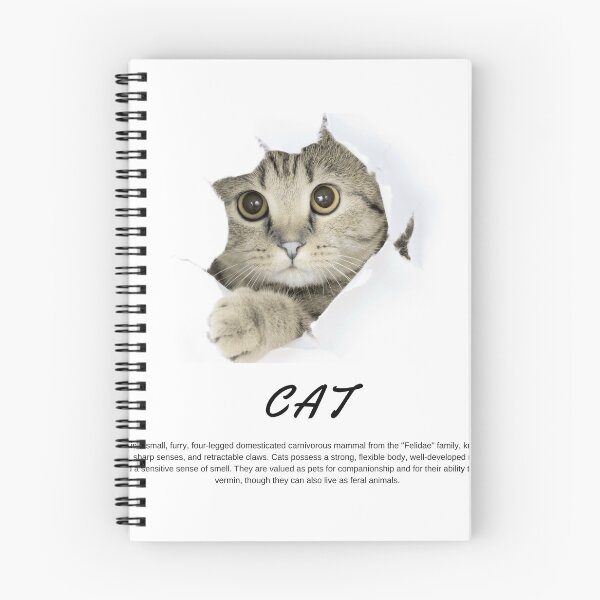 Item preview, Cute kitty☺️  designed and sold by Axvero-Street.