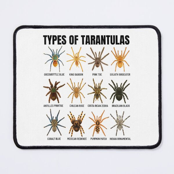Item preview, Types of Tarantulas Spider Species Arachnid Lovers designed and sold by Pavlovi.