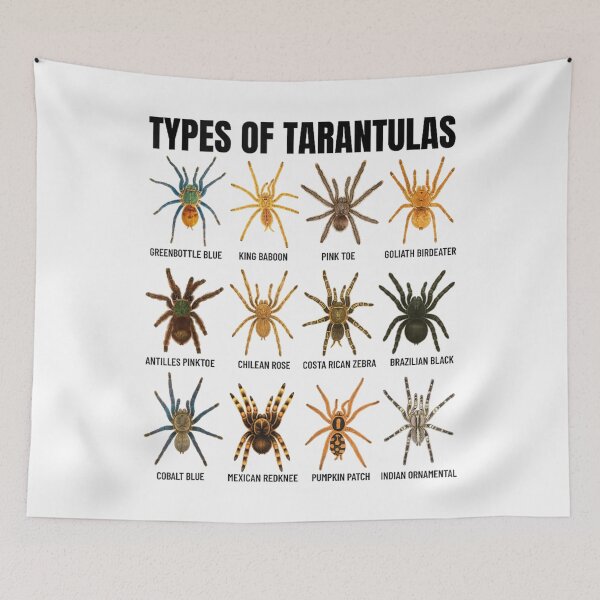 Item preview, Types of Tarantulas Spider Species Arachnid Lovers designed and sold by Pavlovi.