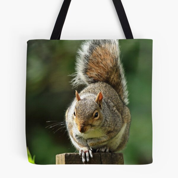 Item preview, Grey Squirrel  sitting on post designed and sold by Robert Flynn.