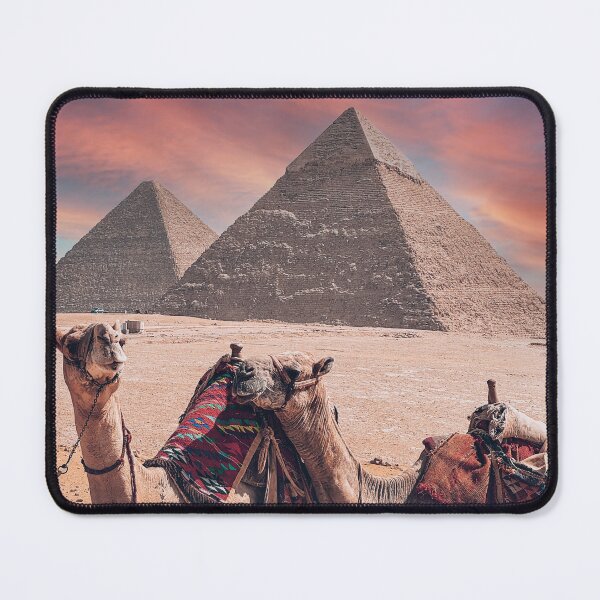 Item preview, Camels in front of the Pyramids of Giza designed and sold by Mauswohn.