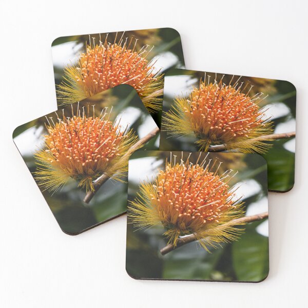 Item preview, Orange Bottlebrush Flower designed and sold by CPhotographs.