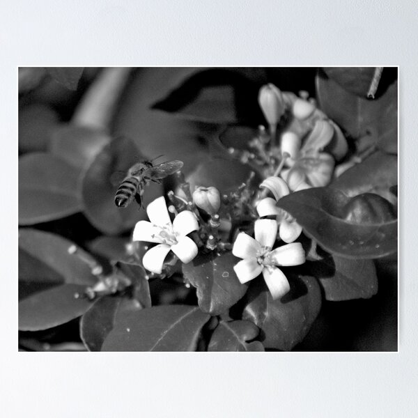 Item preview, Bee Hovering Over Blossoms designed and sold by MercerImages.