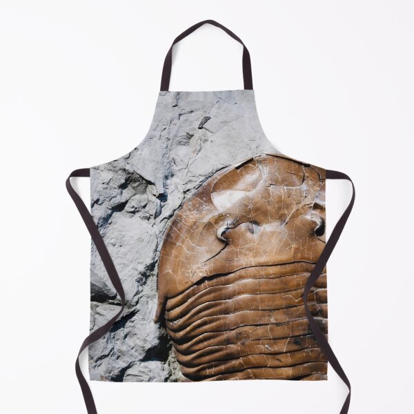 Item preview, Fossil in stone – witness to eternity / Swiss Artwork Photography designed and sold by Raphael Wolf.