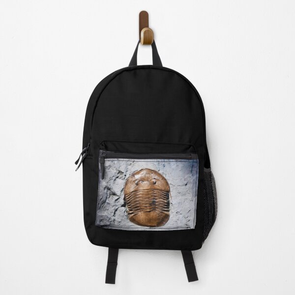 Item preview, Fossil in stone – witness to eternity / Swiss Artwork Photography designed and sold by Raphael Wolf.