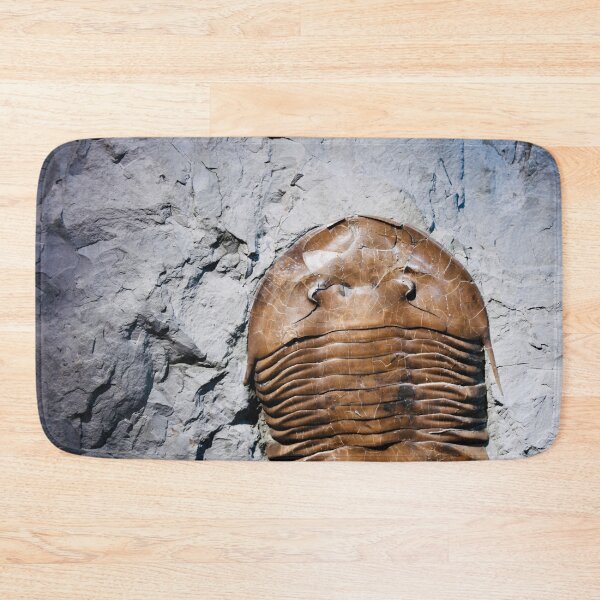 Item preview, Fossil in stone – witness to eternity / Swiss Artwork Photography designed and sold by Raphael Wolf.