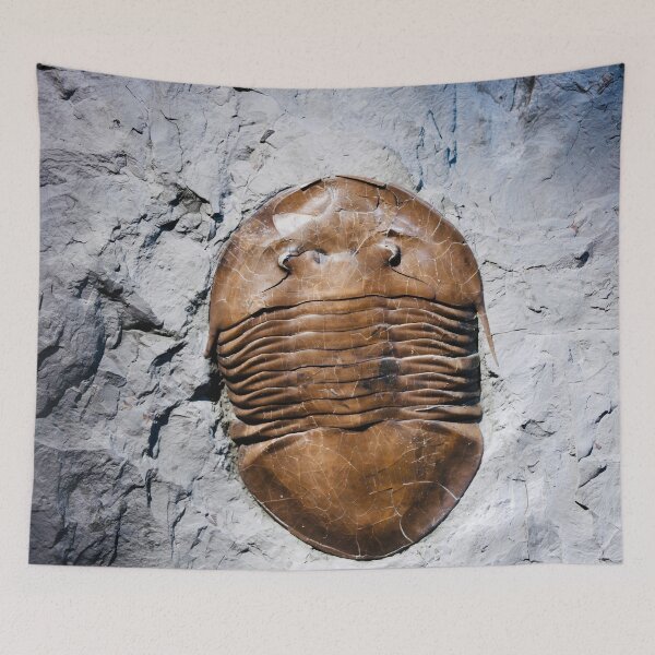 Item preview, Fossil in stone – witness to eternity / Swiss Artwork Photography designed and sold by Raphael Wolf.