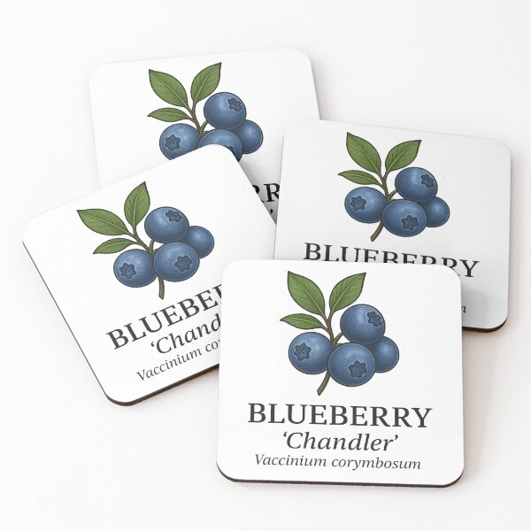Item preview, Blueberry ‘Chandler’ – Vaccinium corymbosum designed and sold by BloomKind.