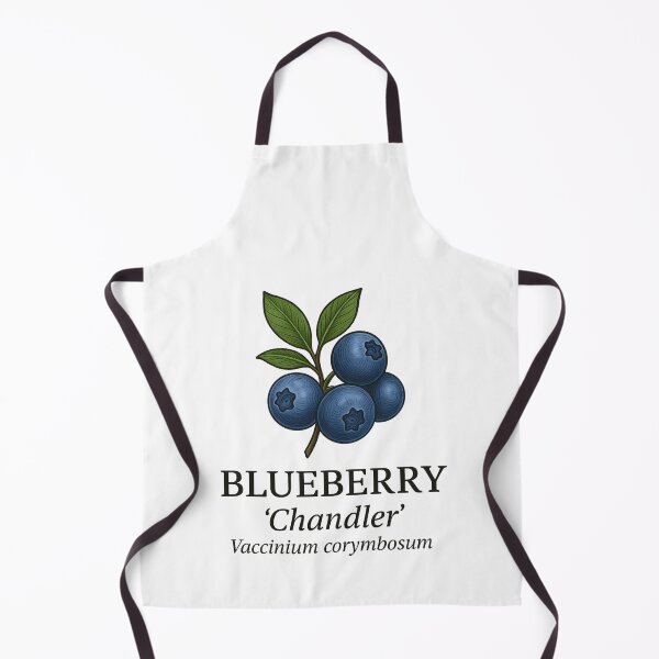 Item preview, Blueberry ‘Chandler’ – Vaccinium corymbosum designed and sold by BloomKind.
