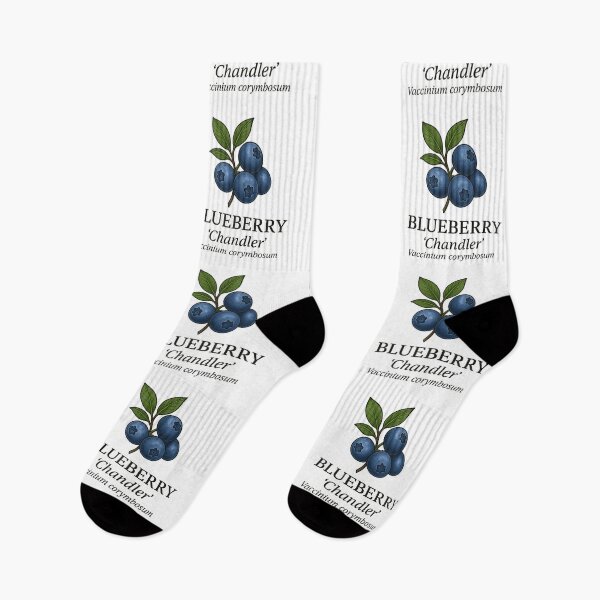 Item preview, Blueberry ‘Chandler’ – Vaccinium corymbosum designed and sold by BloomKind.
