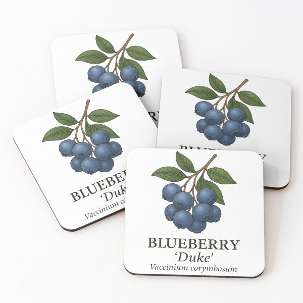 Item preview, Blueberry ‘Duke’ – Vaccinium corymbosum designed and sold by BloomKind.