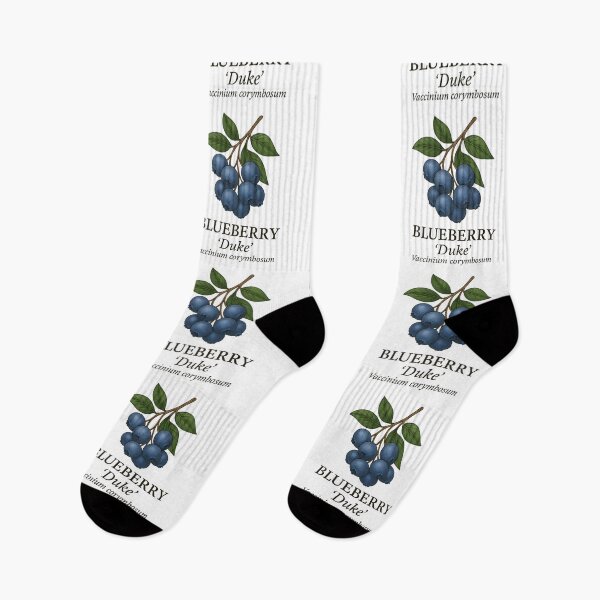 Item preview, Blueberry ‘Duke’ – Vaccinium corymbosum designed and sold by BloomKind.