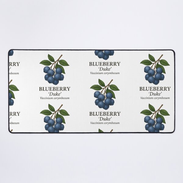 Item preview, Blueberry ‘Duke’ – Vaccinium corymbosum designed and sold by BloomKind.