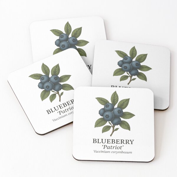 Item preview, Blueberry ‘Patriot’ – Vaccinium corymbosum designed and sold by BloomKind.