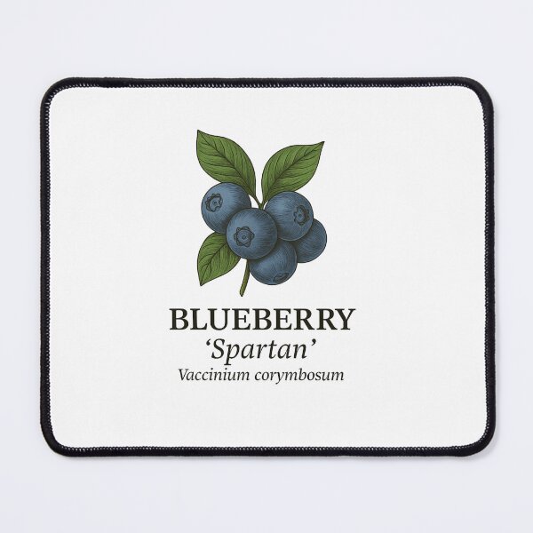 Item preview, Blueberry ‘Spartan’ – Vaccinium corymbosum designed and sold by BloomKind.