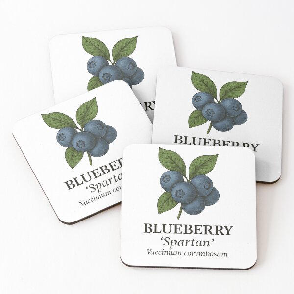 Item preview, Blueberry ‘Spartan’ – Vaccinium corymbosum designed and sold by BloomKind.