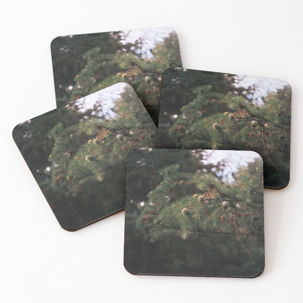 Item preview, they grow and they fall designed and sold by 5letters.