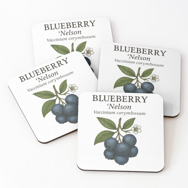 Item preview, Blueberry ‘Nelson’ – Vaccinium corymbosum designed and sold by BloomKind.