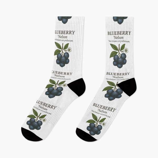 Item preview, Blueberry ‘Nelson’ – Vaccinium corymbosum designed and sold by BloomKind.