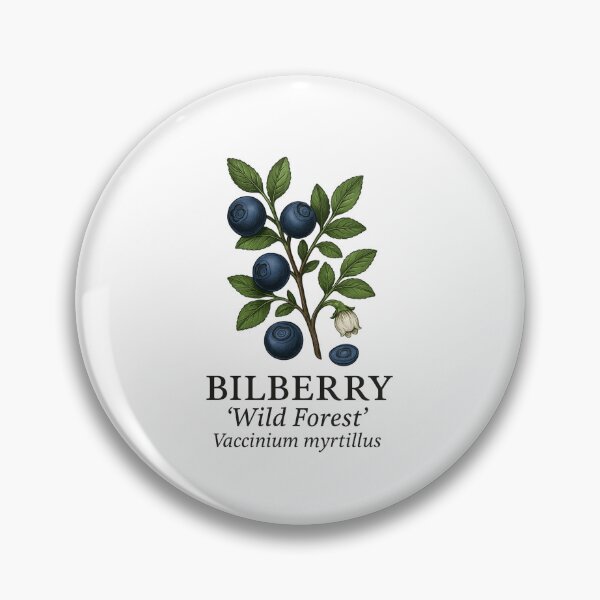 Item preview, Bilberry ‘Wild Forest’ – Vaccinium myrtillus designed and sold by BloomKind.