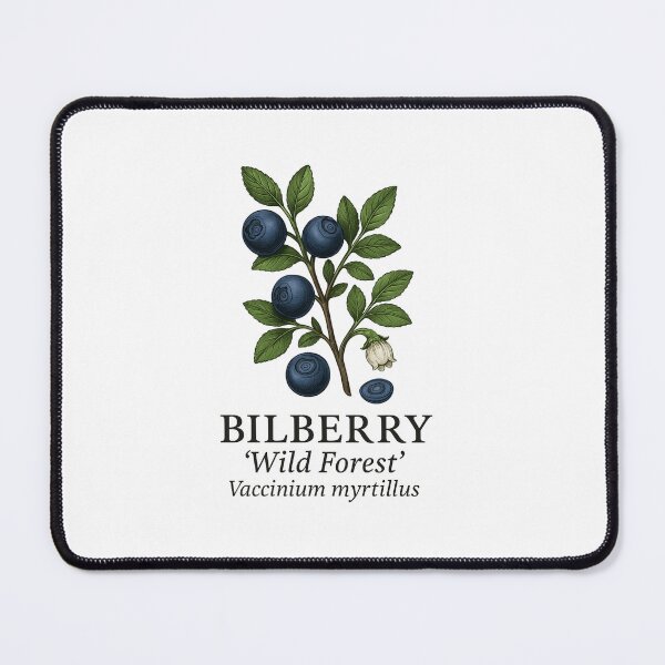 Item preview, Bilberry ‘Wild Forest’ – Vaccinium myrtillus designed and sold by BloomKind.