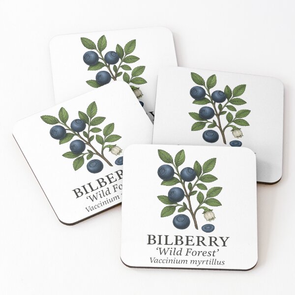 Item preview, Bilberry ‘Wild Forest’ – Vaccinium myrtillus designed and sold by BloomKind.
