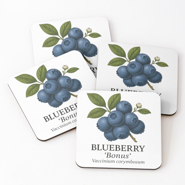 Item preview, Blueberry ‘Bonus’ – Vaccinium corymbosum designed and sold by BloomKind.