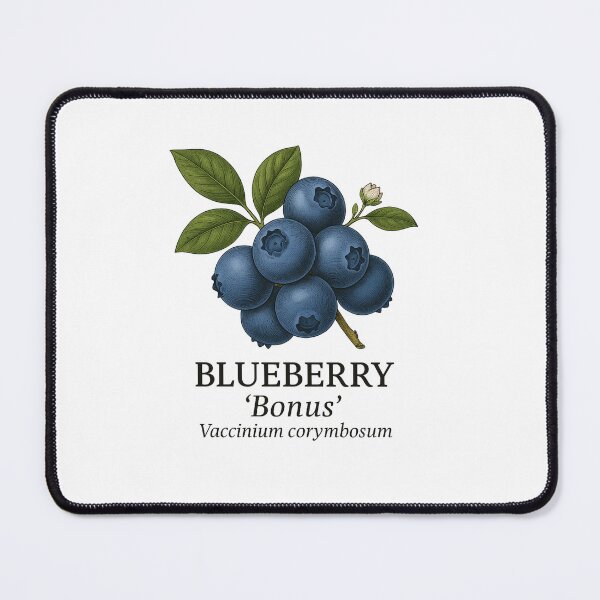 Item preview, Blueberry ‘Bonus’ – Vaccinium corymbosum designed and sold by BloomKind.