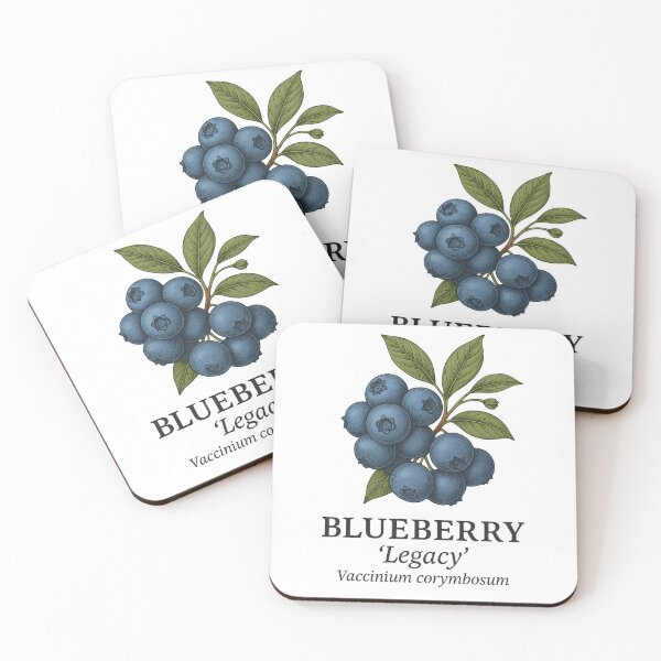 Item preview, Blueberry ‘Legacy’ – Vaccinium corymbosum designed and sold by BloomKind.