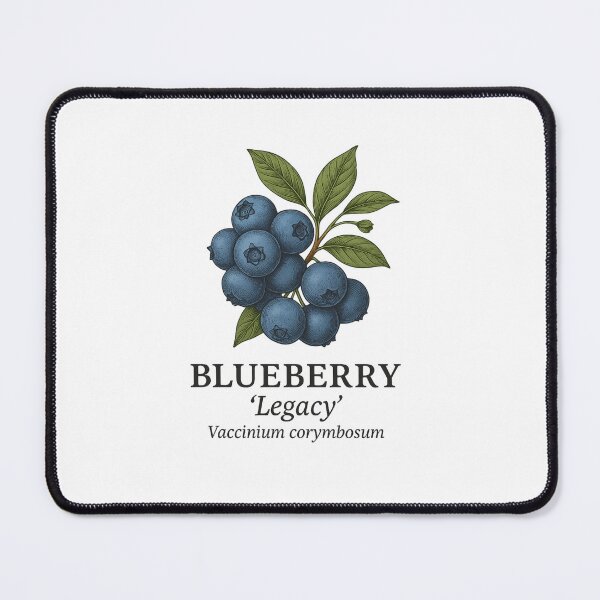 Item preview, Blueberry ‘Legacy’ – Vaccinium corymbosum designed and sold by BloomKind.
