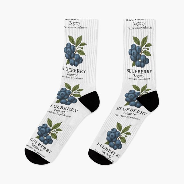 Item preview, Blueberry ‘Legacy’ – Vaccinium corymbosum designed and sold by BloomKind.