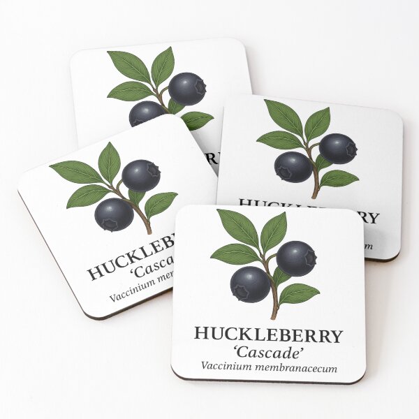 Item preview, Huckleberry ‘Cascade’ – Vaccinium membranaceum designed and sold by BloomKind.